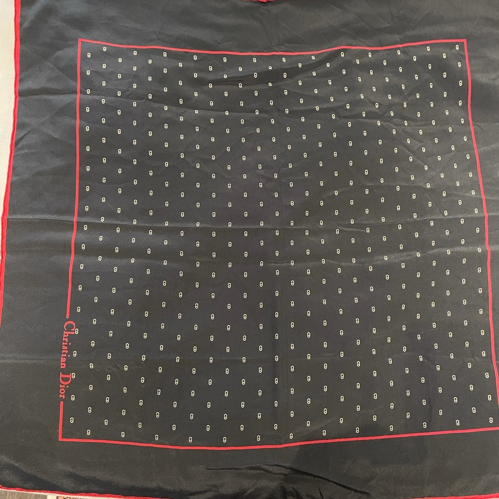Silk scarf 🧣 by CD